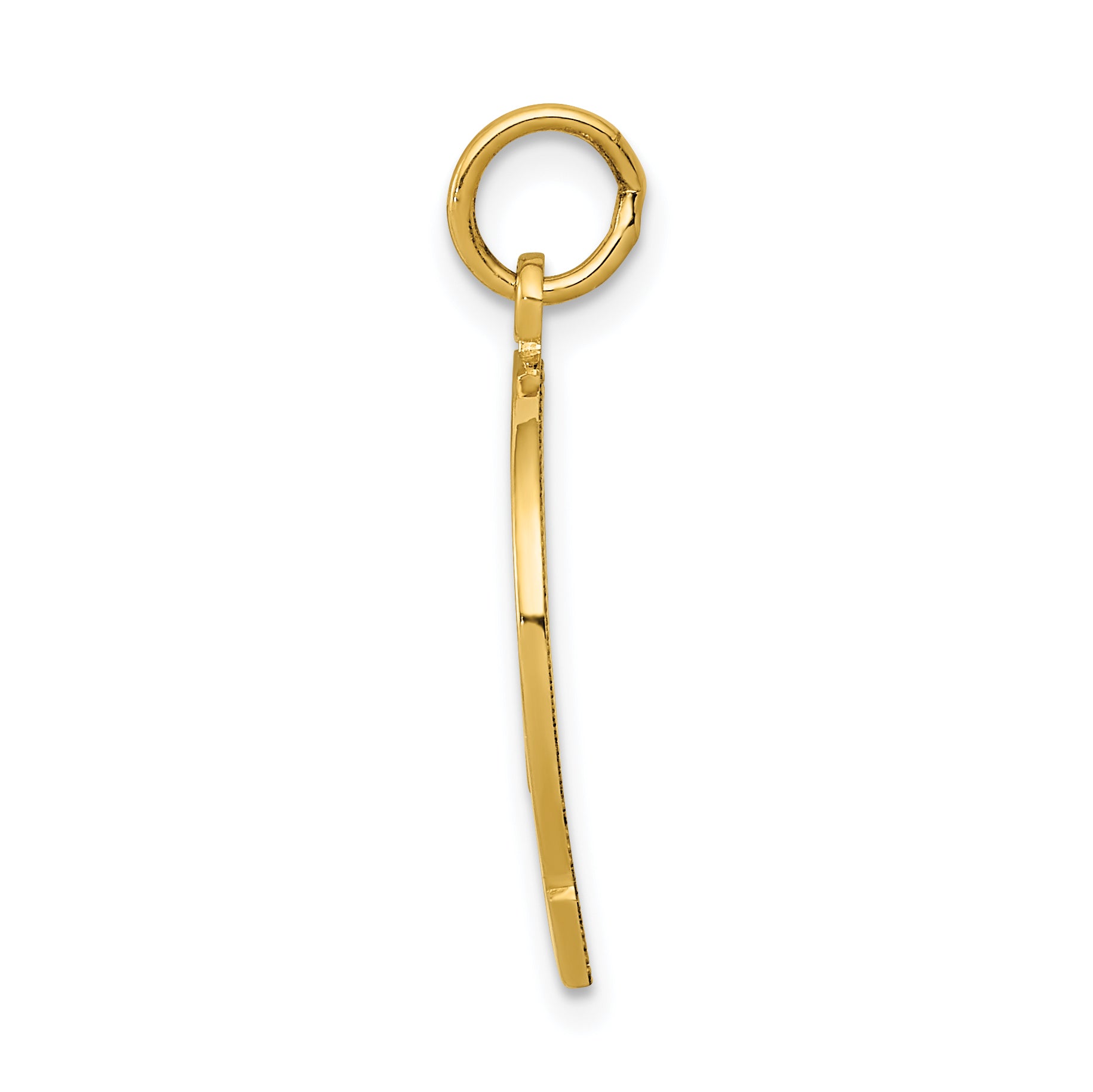 14K Gold Horseshoe Charm with Polished Textured Finish Secondary image