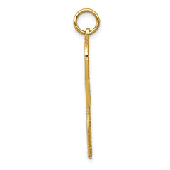 14K Gold Polished Ankh Cross Pendant with Textured Design
