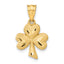14k Shamrock Charm