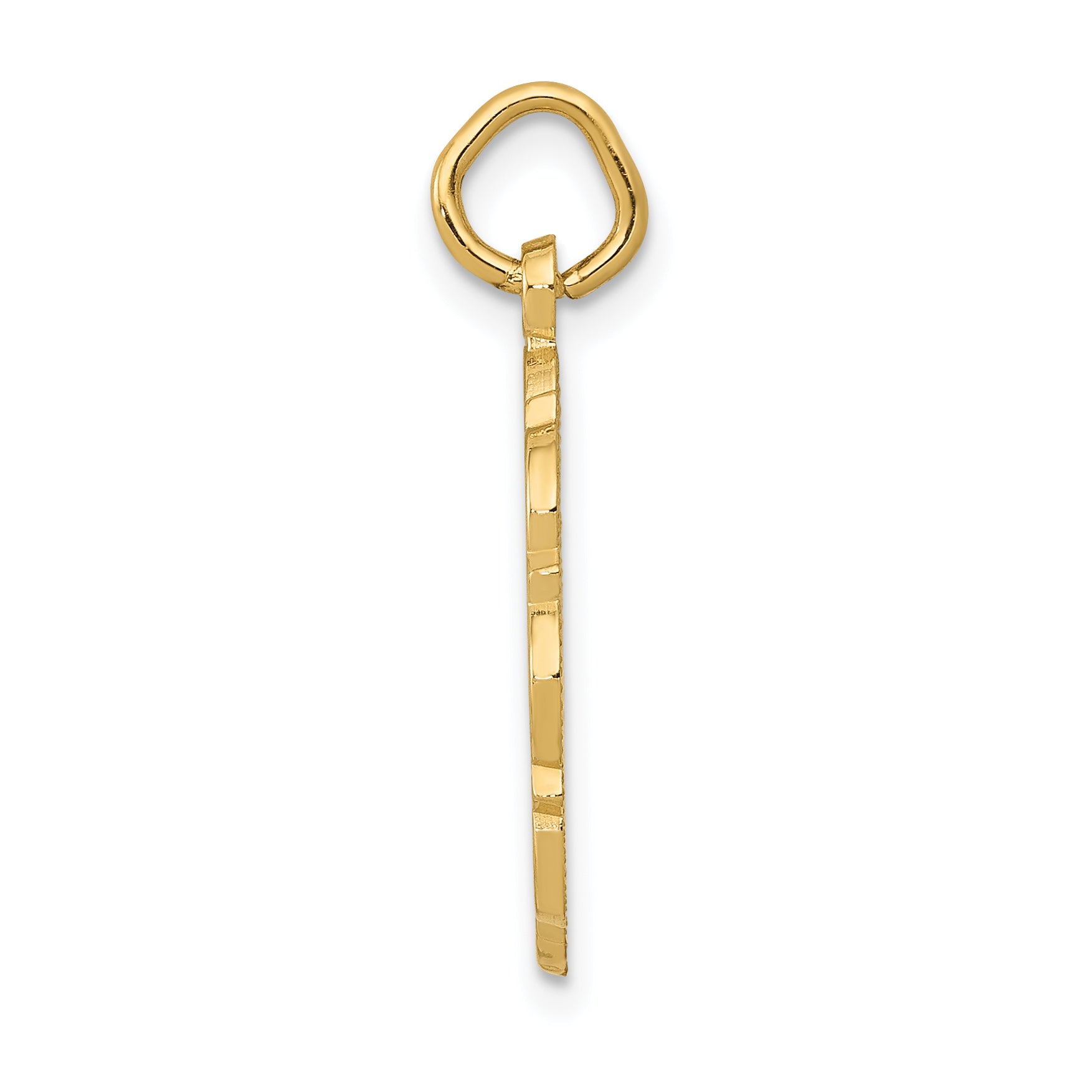 14K Gold RN Nurse Charm with Polished Textured Finish
