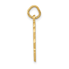 14K Gold RN Nurse Charm with Polished Textured Finish