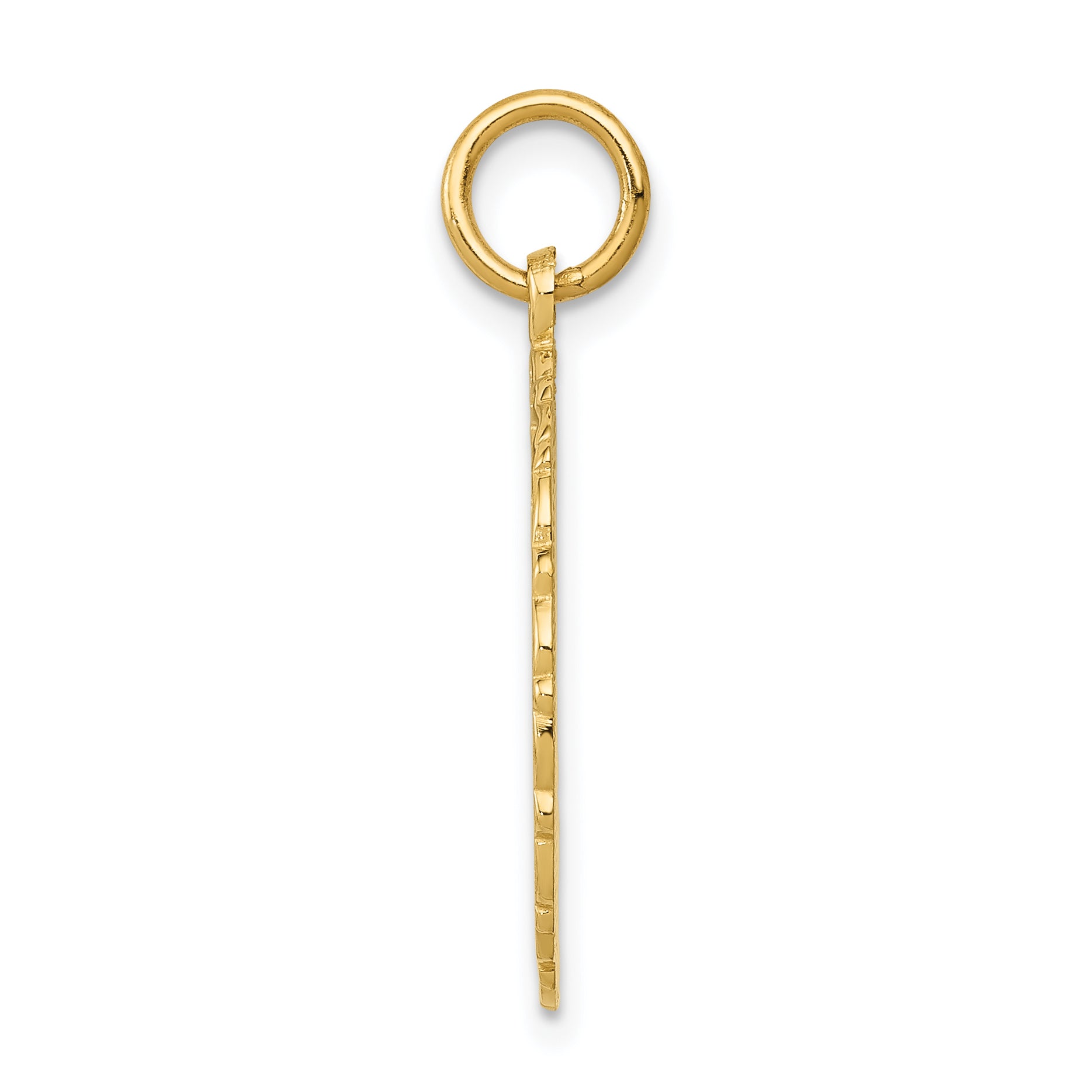 14K Gold Polished RN Nurse Disc Charm by Sophia Jewelers