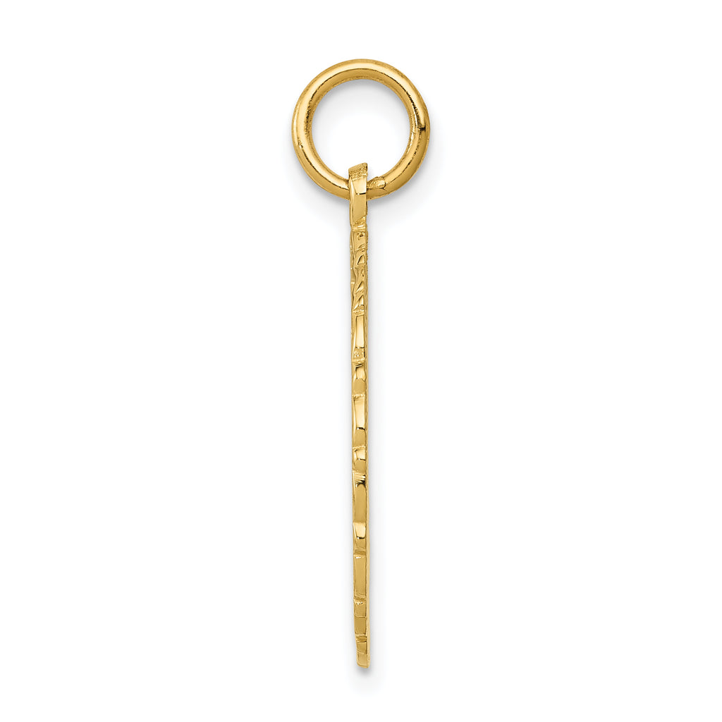 14K Gold Polished RN Nurse Disc Charm by Sophia Jewelers