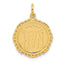 14k RN Registered Nurse Disc Charm