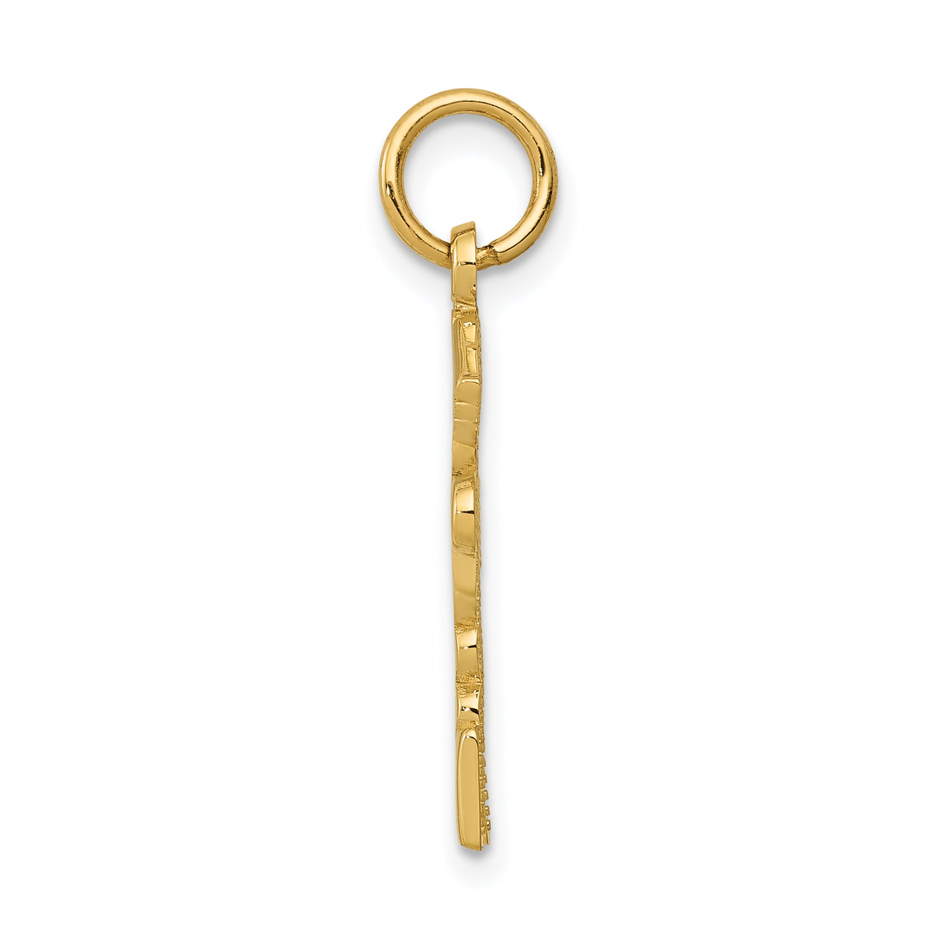 14k Registered Nurse Practitioner Charm Secondary image