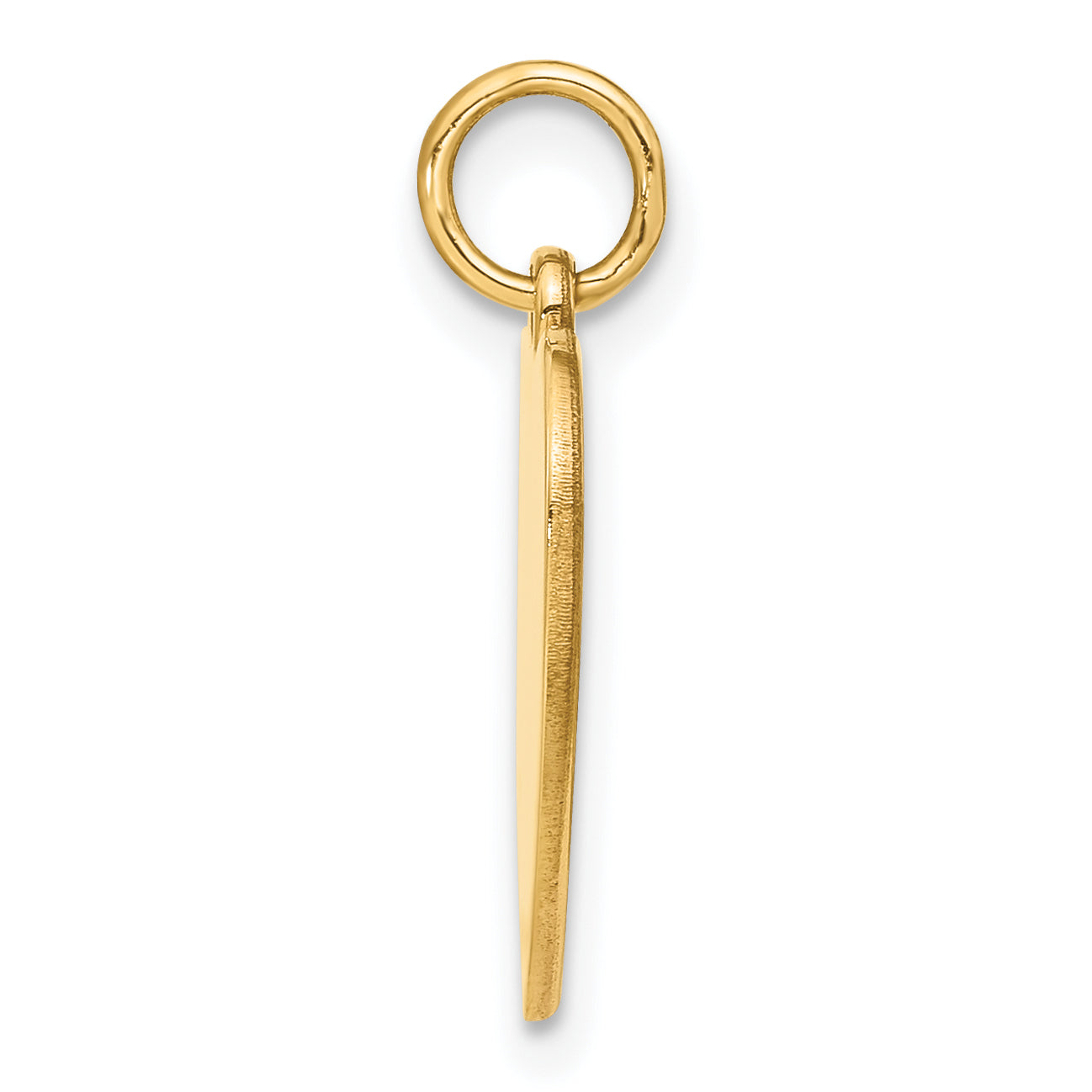14K Gold Polished Flag Heart Charm with Textured Finish Secondary image