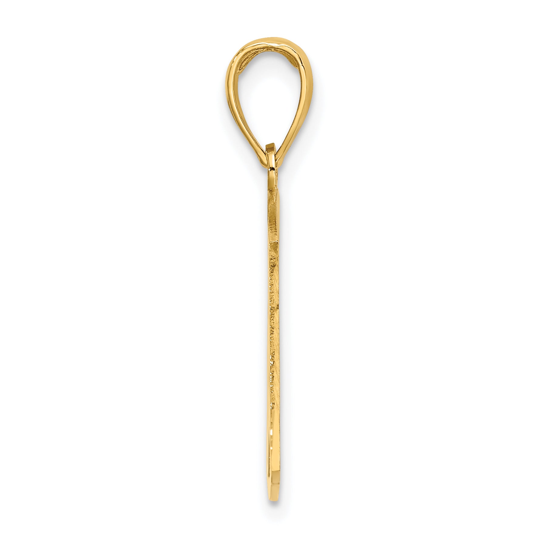 14k PARAMEDIC Charm Secondary image