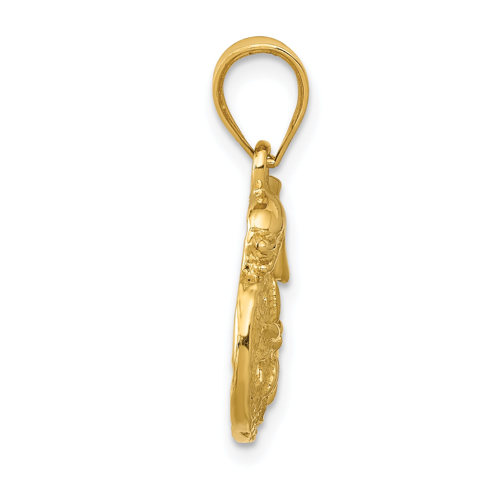 14K Gold Dolphin and Sanddollar Men's Charm Polished Textured Elegance Secondary image
