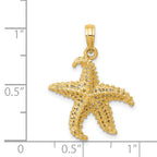 14K Gold Men's Starfish Pendant with Polished Open Back Design