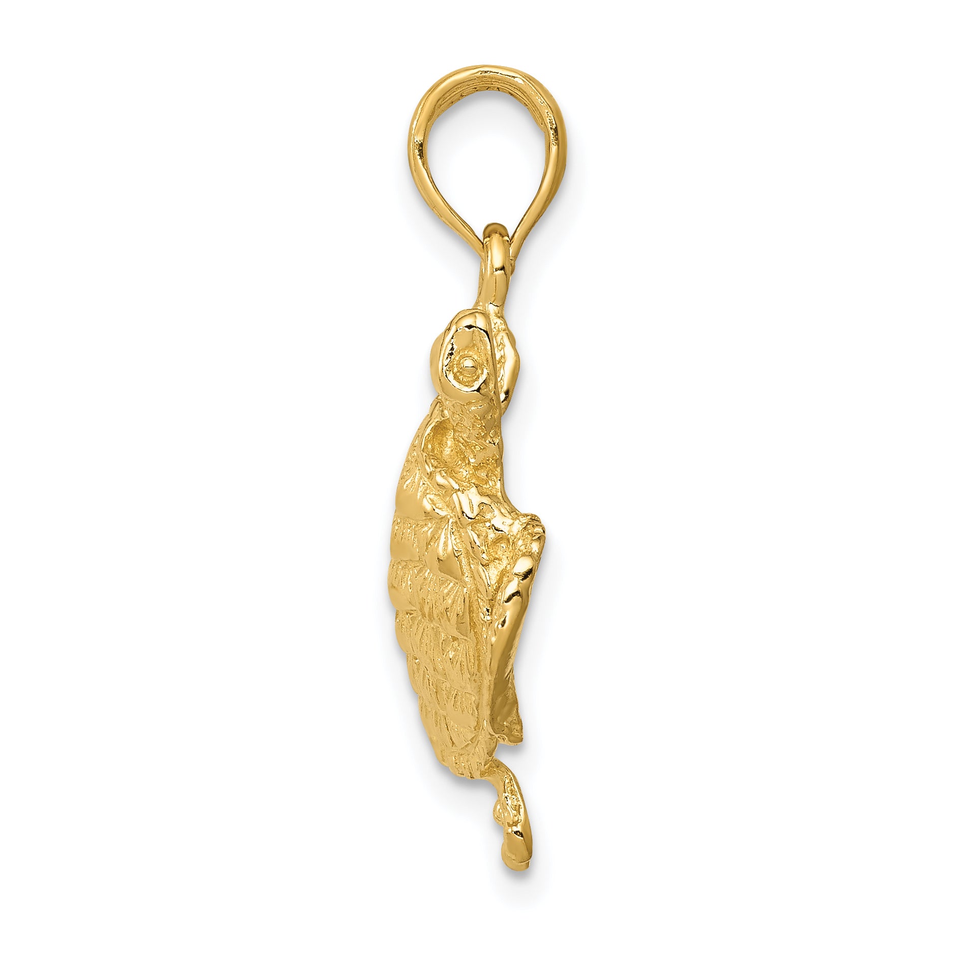 14K Gold Turtle Pendant for Men with Polished Open Back