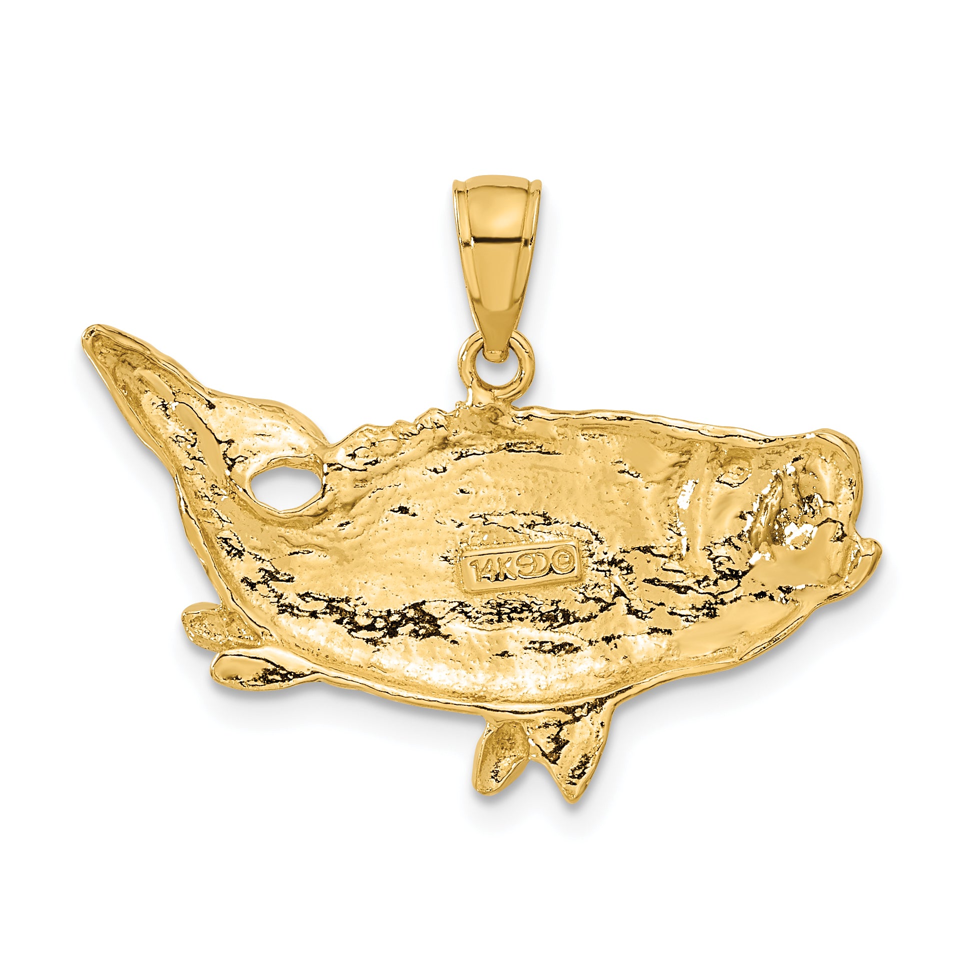 14K Gold Men's Polished Bass Fish Pendant by Sophia Jewelers