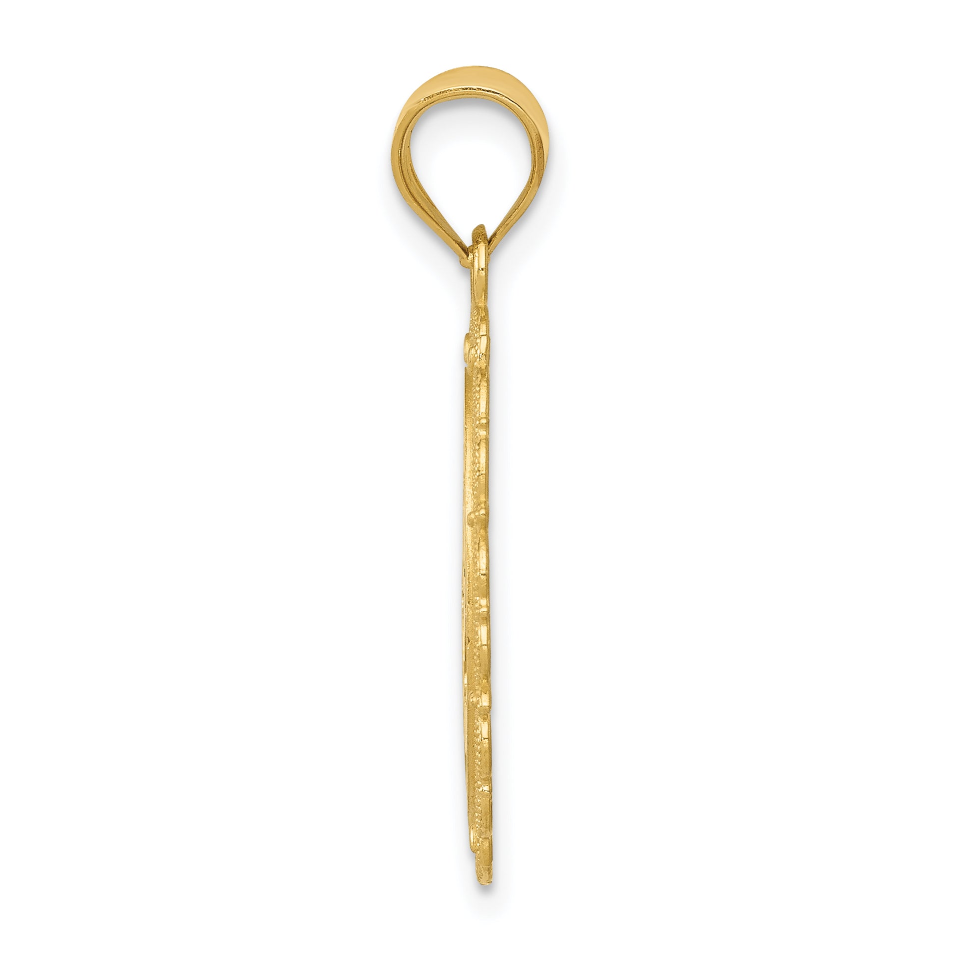 14K Gold Pisces Zodiac Pendant with Polished Satin Finish  Elegant Design by Sophia Jewelers Secondary image