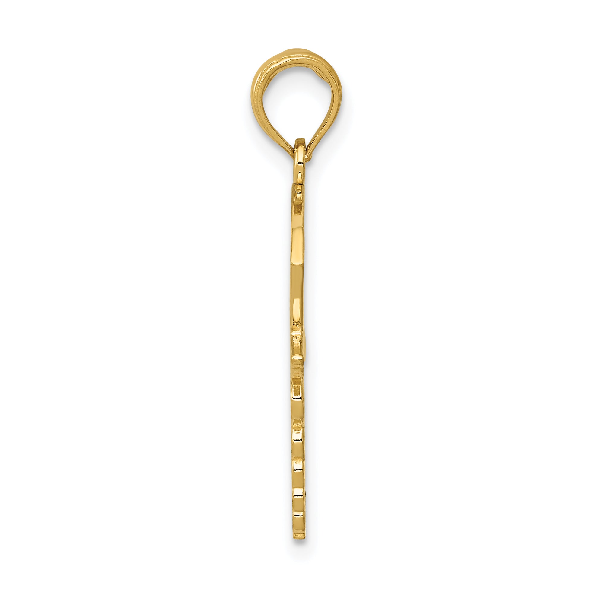 14K Gold Caduceus Nurses Cap Pendant with Polished Textured Design