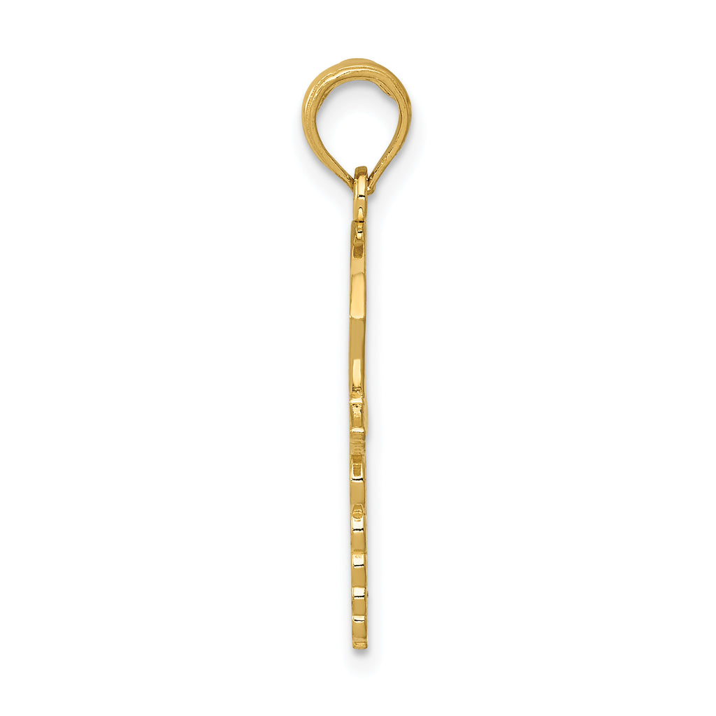 14K Gold Caduceus Nurses Cap Pendant with Polished Textured Design