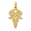 14k Caduceus w/Nurses Cap Pendant
