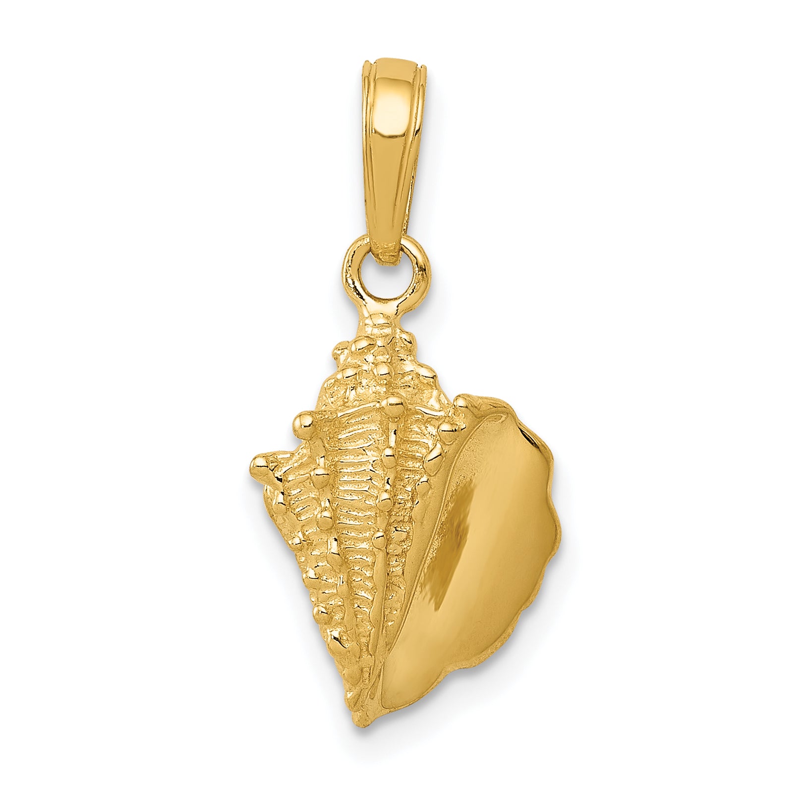 14k Solid Polished Conch Shell Pendant Main image