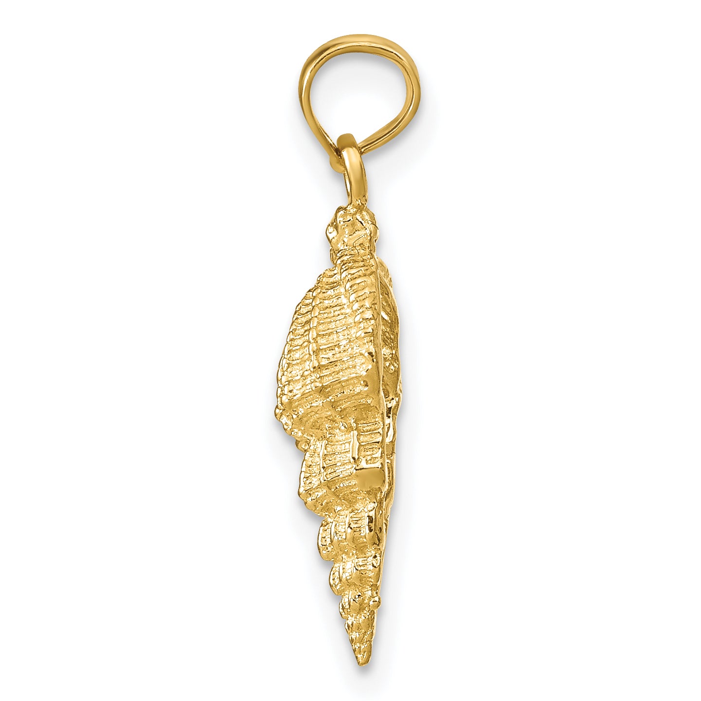 14K Gold Conch Shell Pendant for Men with Polished Textured Finish Secondary image