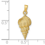 14K Gold Conch Shell Pendant for Men with Polished Textured Finish