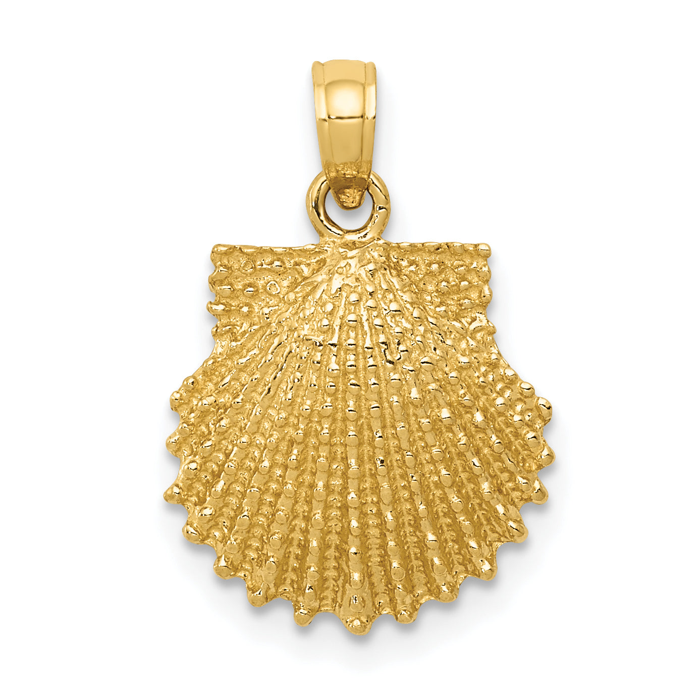 14k Textured Scallop Shell Pendant Main image