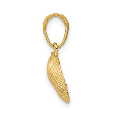 14K Gold Scallop Shell Pendant with Polished Textured Finish by Sophia Jewelers