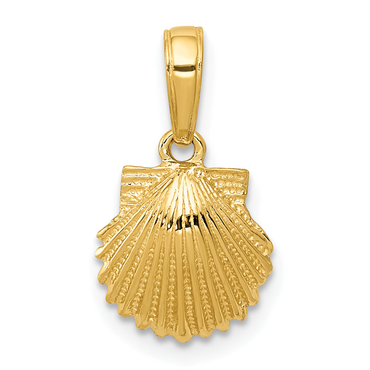 14k Scallop Shell Pendant Main image