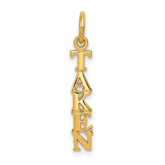 14K Polished TAKEN Charm