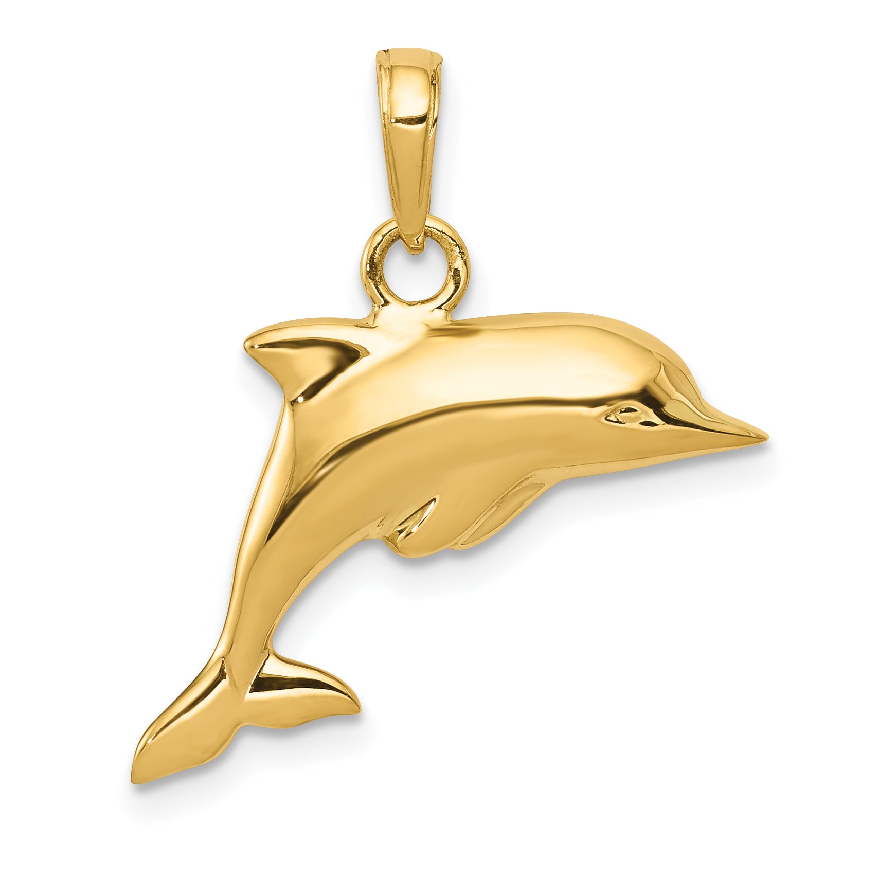 14K Polished 3-D Dolphin Pendant Main image