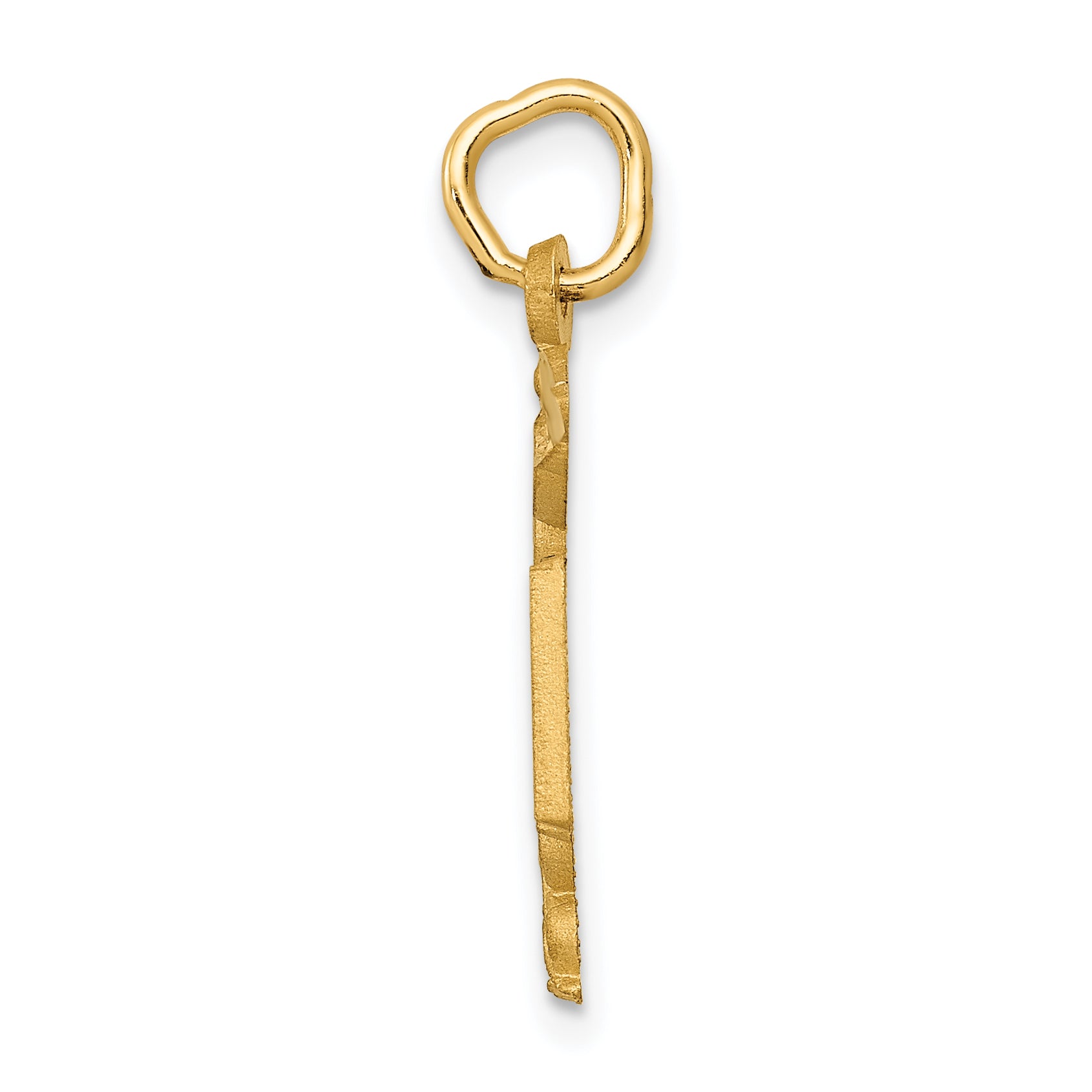 14K Gold RN Nurse Charm with Brushed Finish Elegant and Gift Ready