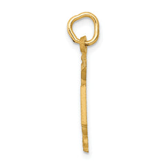 14K Gold RN Nurse Charm with Brushed Finish Elegant and Gift Ready