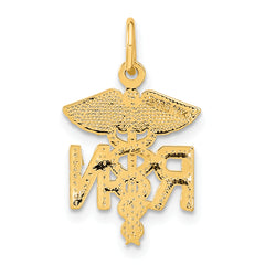 14K Gold RN Nurse Charm with Brushed Finish Elegant and Gift Ready