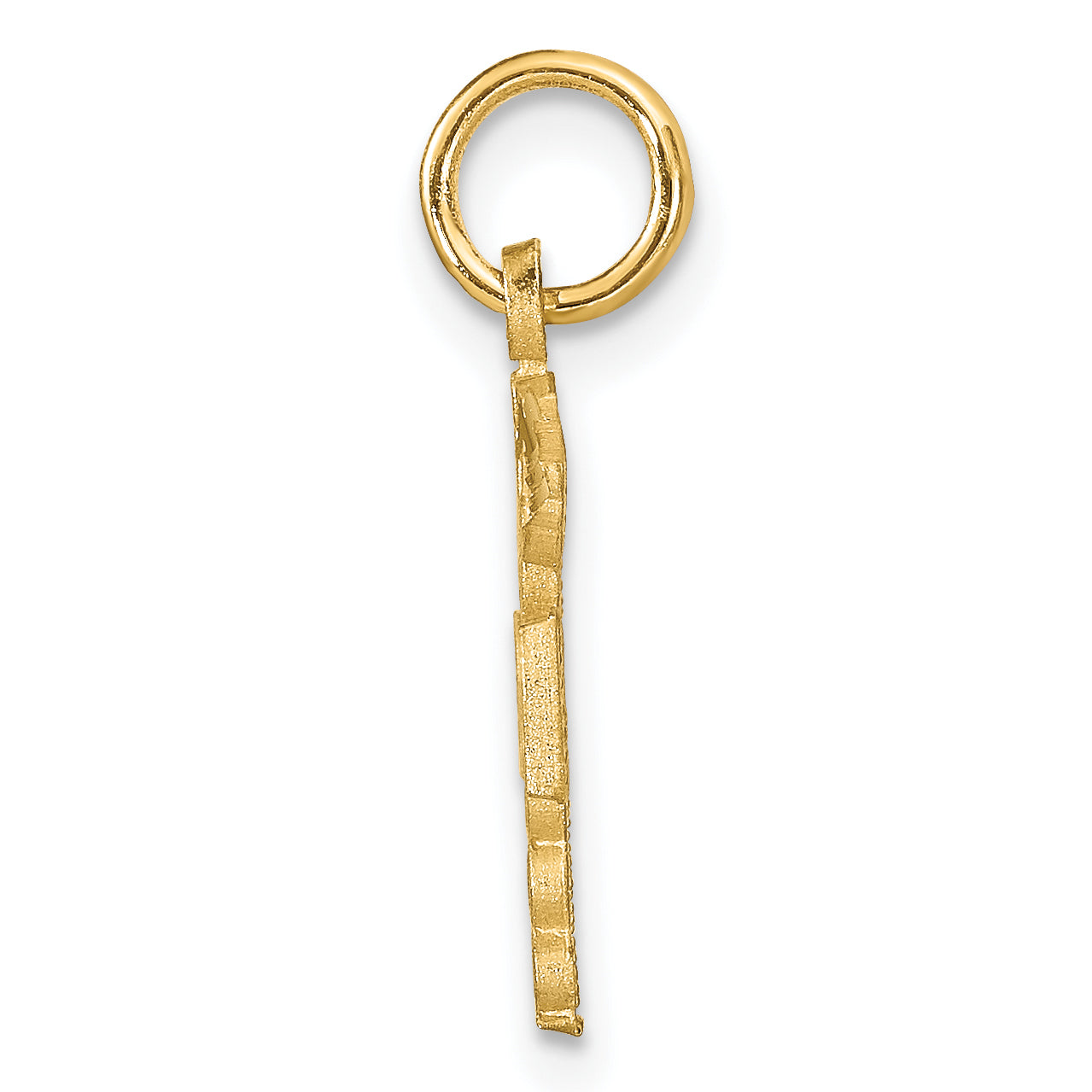 14K Gold RN Nurse Charm with Diamond-Cut Brushed Finish Secondary image