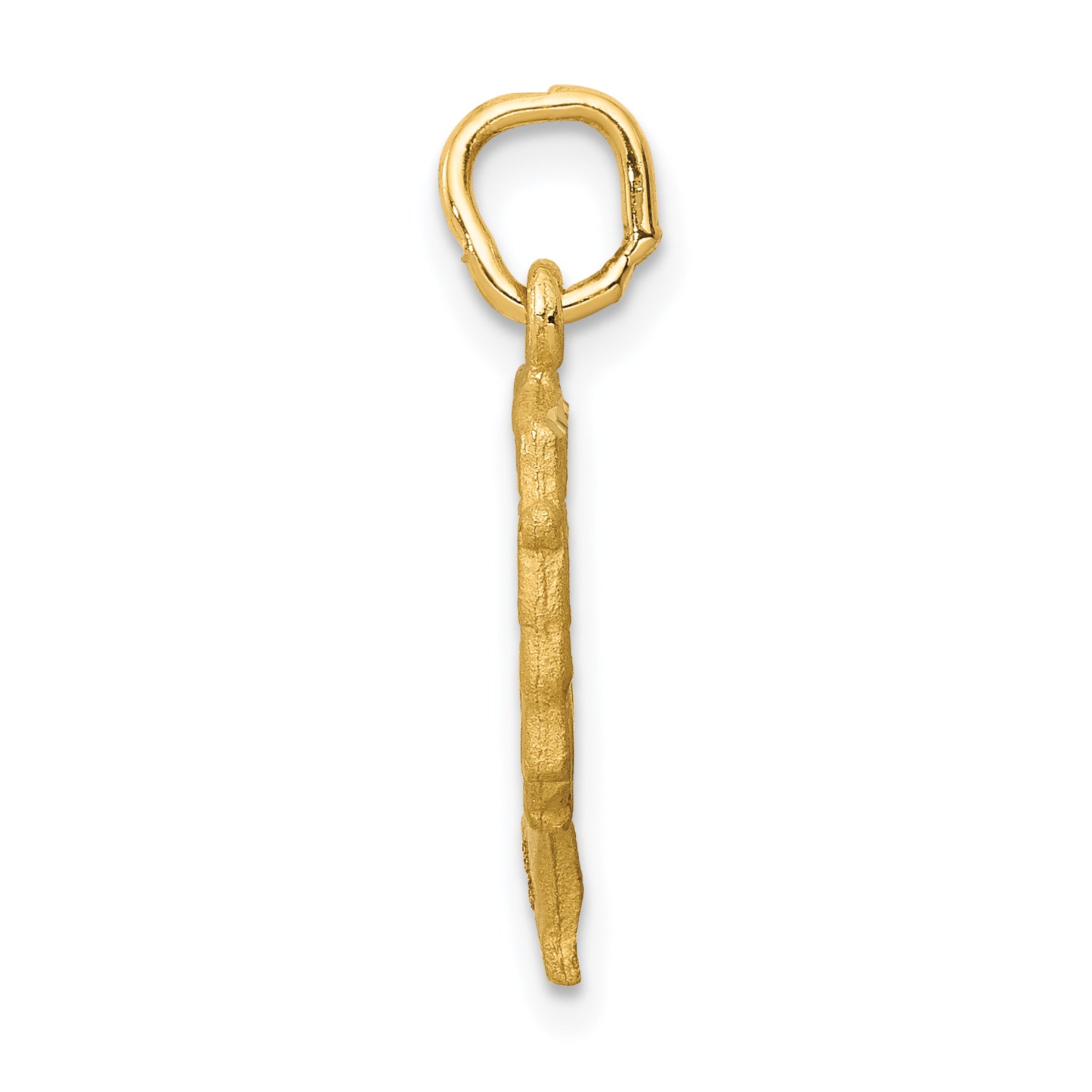 14K Gold Nefertiti Charm with Satin Front and Polished Back  Elegant Solid Design Secondary image