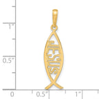14K Gold Ichthus Fish with JESUS Solid Pendant, 30mm, Casted Design