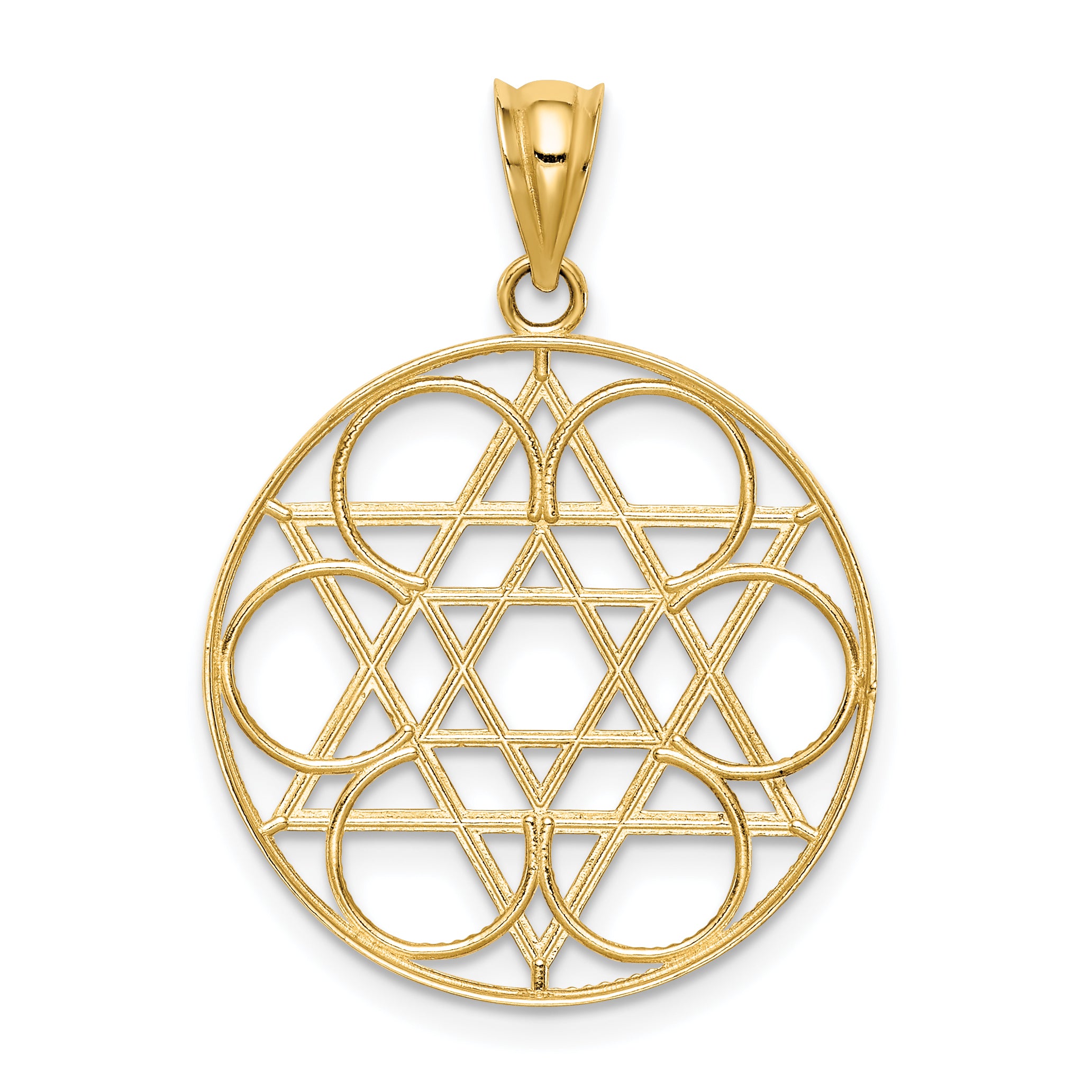 14K Gold Star of David Circle Pendant  Solid, Elegant Design by Sophia Jewelers