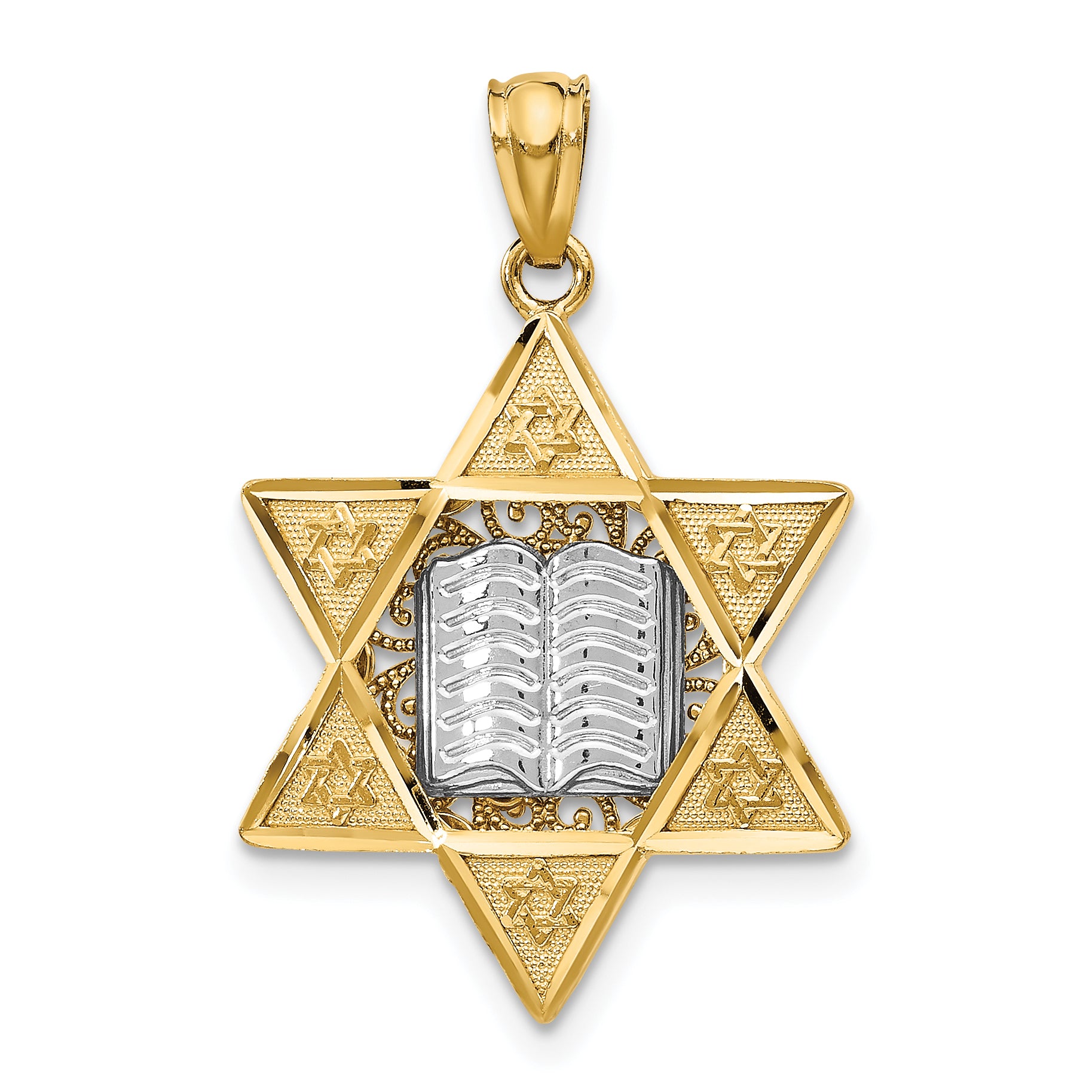 14k Two-tone Star of David Pendant Main image