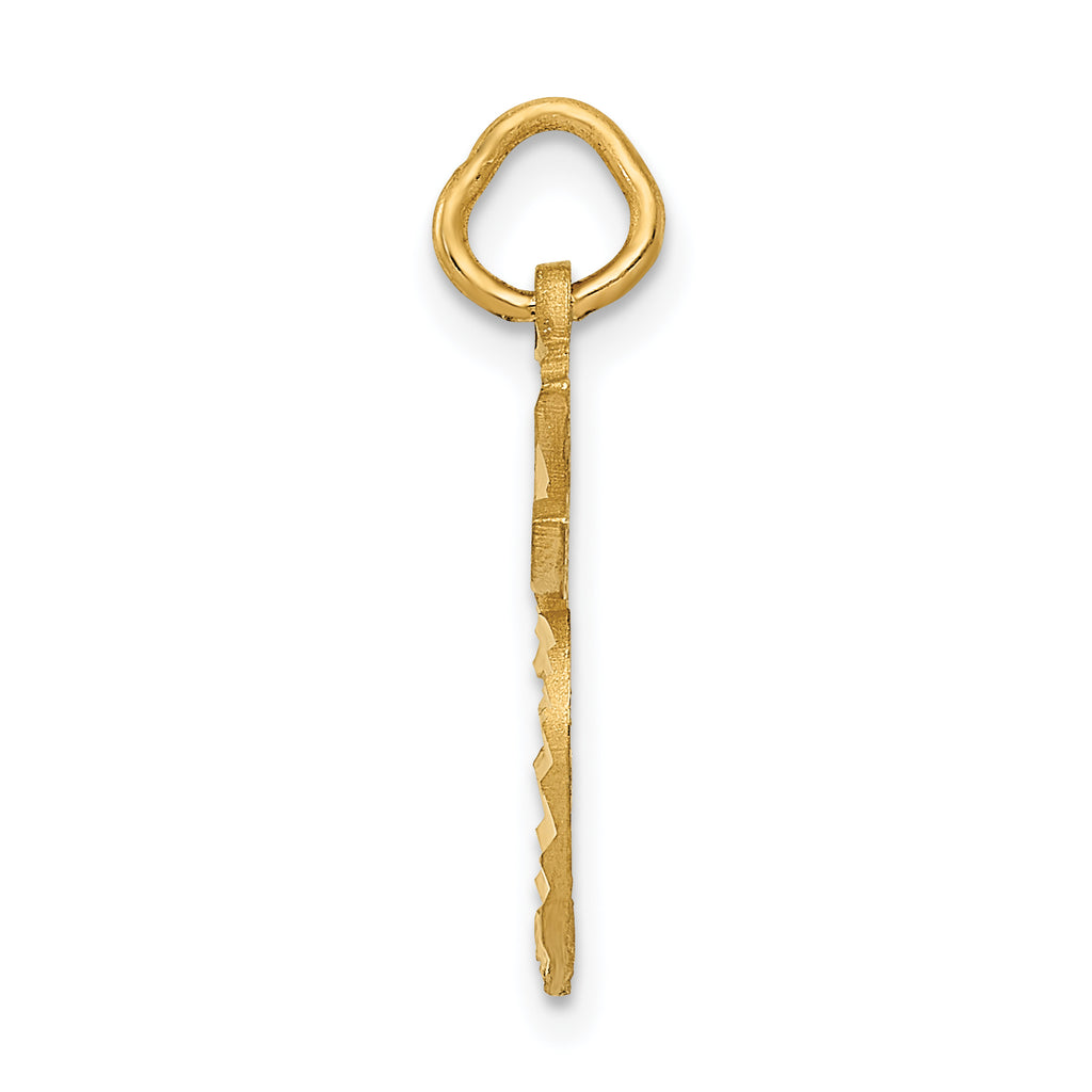 14K Gold Polished Apple Charm with Diamond-Cut Textured Details Elegant