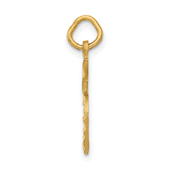 14K Gold Polished Apple Charm with Diamond-Cut Textured Details Elegant