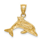 14K Lab Created Opal Dolphin Pendant