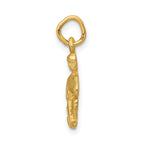 14K Gold Satin Diamond-Cut Aquarius Zodiac Charm  Elegant & Themed Design