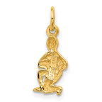 14K Gold Satin Diamond-Cut Aquarius Zodiac Charm  Elegant & Themed Design