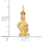 14K Gold Satin Diamond-Cut Aquarius Zodiac Charm  Elegant & Themed Design