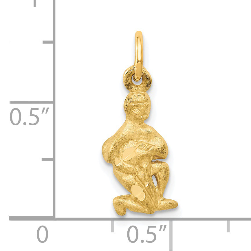 14K Gold Satin Diamond-Cut Aquarius Zodiac Charm  Elegant & Themed Design