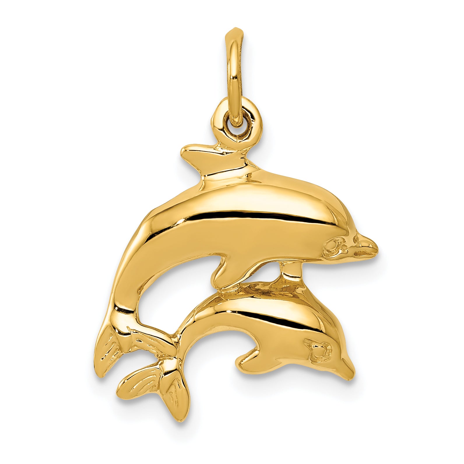 14k Dolphin Charm Main image