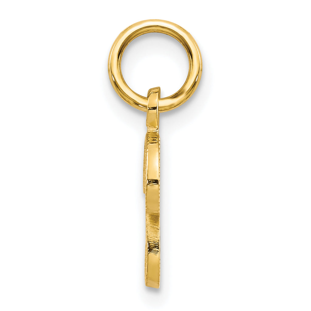 14K Yellow Gold Polished Script Letter P Charm with Textured Finish