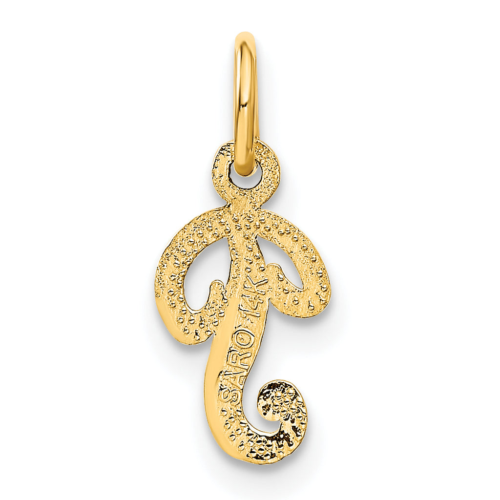 14K Yellow Gold Polished Script Letter P Charm with Textured Finish
