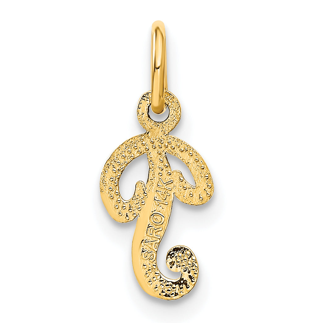 14K Yellow Gold Polished Script Letter P Charm with Textured Finish