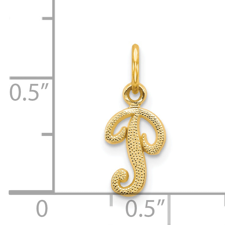 14K Yellow Gold Polished Script Letter P Charm with Textured Finish