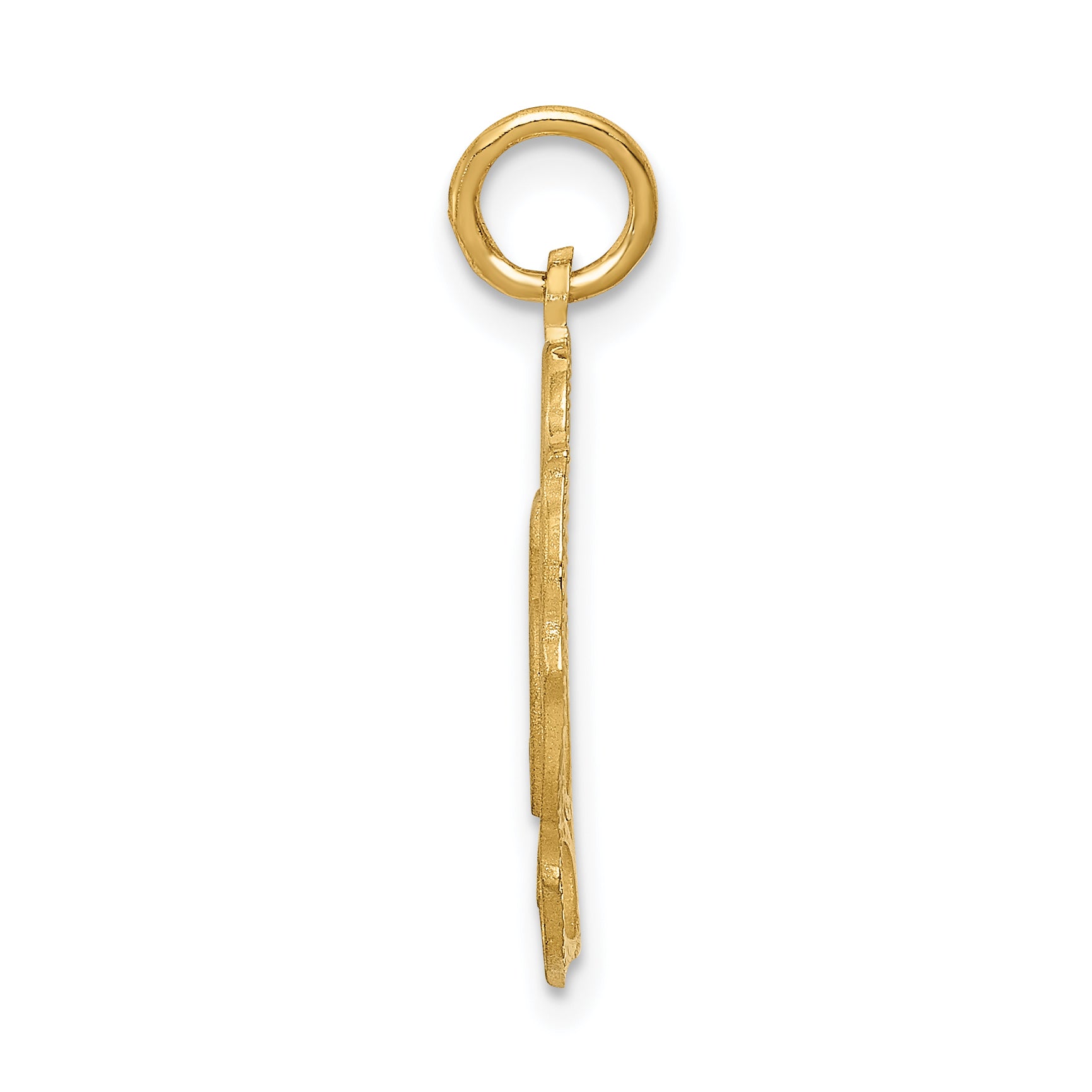14K Gold Oval Pendant with Polished & Brushed Finish, 25mm Secondary image