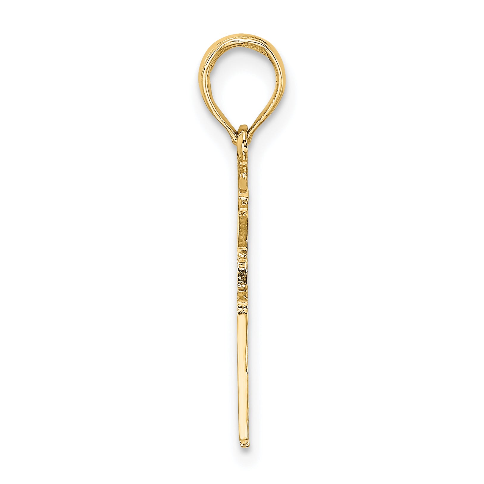 14k Registered Nurse Charm