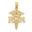 14k Polished R.N. Pendant